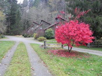 Forest Echoes Cabins Cultus Lake Esterno foto